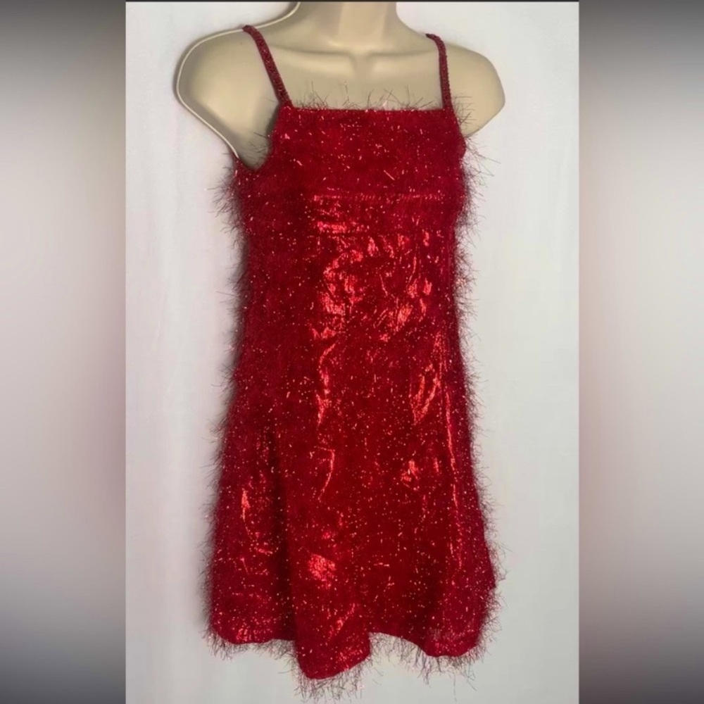 Party City Red Dress covered in Red Shiny tassels. 20s Style Flapper Girl